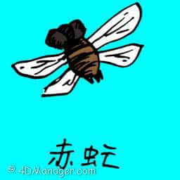 赤虻 house fly