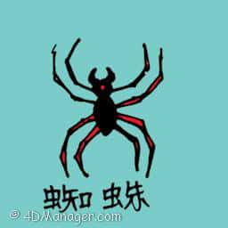 蜘蛛 common spider