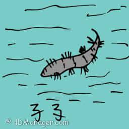 孑孓 mosquito larva