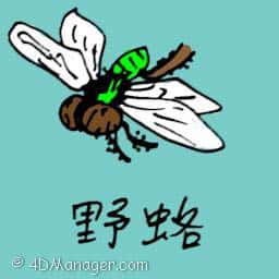 野各 wild flies