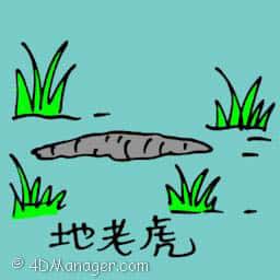 地老虎 cutworms