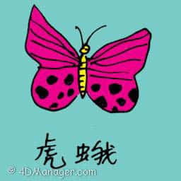 虎娥 tiger moth