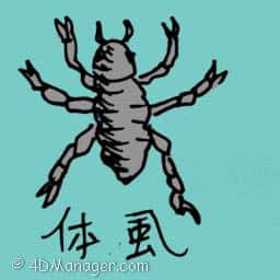 体蛩 head louse