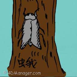 羊蛾 moth