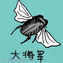 大将军 general bee