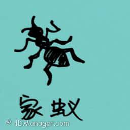 家蚁 house ants