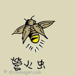 萤火虫 firefly