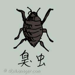 臭? bedbug