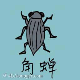 角蝉 membracidae cicada