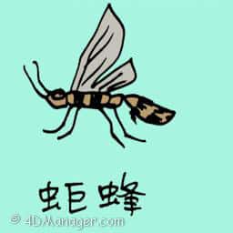 姬蜂 poison wasp