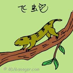 飞蛇 tree skink