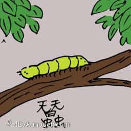 蚕 silkworm