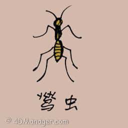 鹭虫 yellow ant