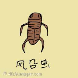 风船虫 four legged insect