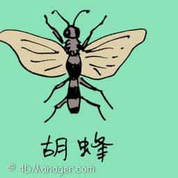胡蜂 hornet