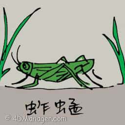 蚱蜢 green grasshopper