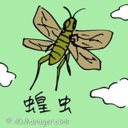 蝗虫 locust