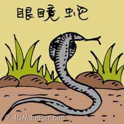 眼镜蛇 king cobra