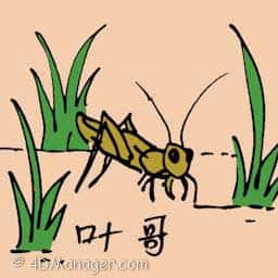 叫哥 yellow cricket 