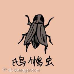 鸱鸥虫 small fly