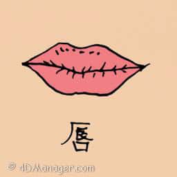 唇 lips