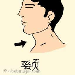 颈 neck