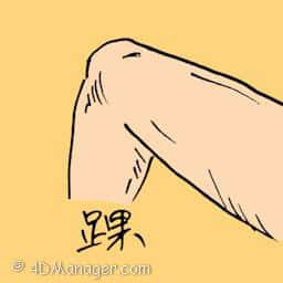 踝 knee