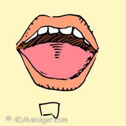 口 mouth