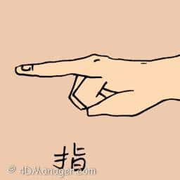 指 finger