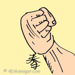 拳 fist