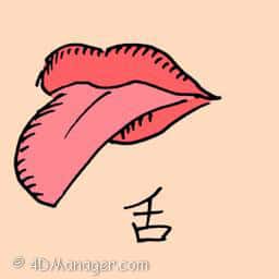 舌 tongue