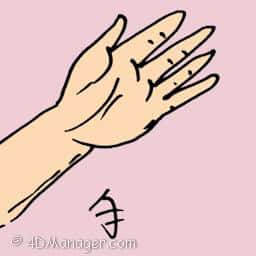 手 hand
