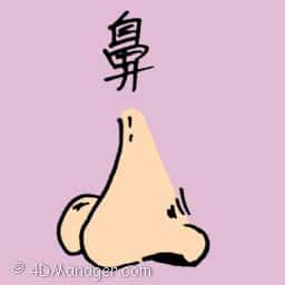 鼻 nose