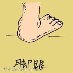 脚跟 heel