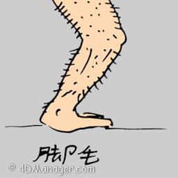 脚毛 leg hair