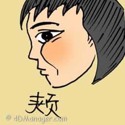 颊 cheek