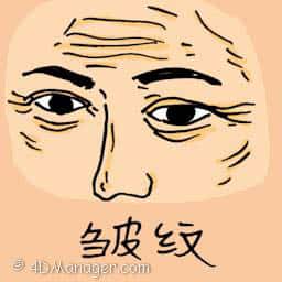 皱纹 wrinkle