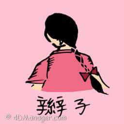 辫 hair braids