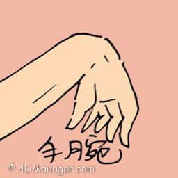 手腕 wrist
