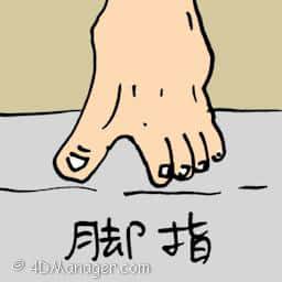 脚指 foot toe