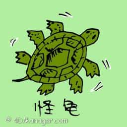 怪龟 six legged turtle