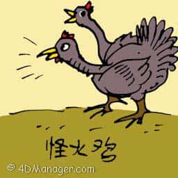 怪火鸡 two headed turkey