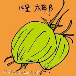 怪椰 weird coconut