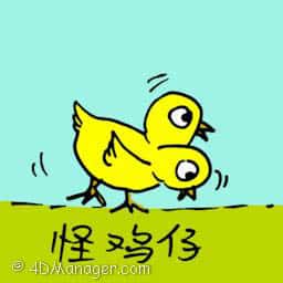 怪鸡仔 two headed chick