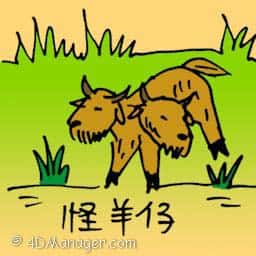 怪羊仔 two headed goat