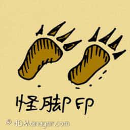 怪脚印 weird footprint