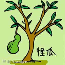 怪瓜 weird melon