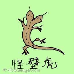 怪壁虎 two headed lizard