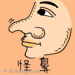 怪鼻 weird nose
