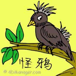 怪鸦 weird crow